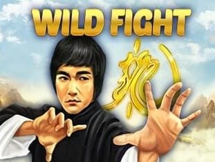 Wild Fight game thumbnail